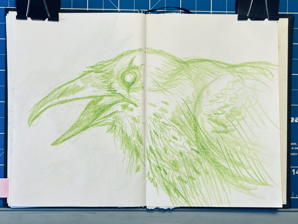 Photo of a sketchbook, with a drawing of a crow occupying the two open pages. Done in green pencil on white paper.