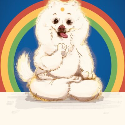 Illustration of a white dog (Spitz breed) sitting in a lotus position, Buddha-style, with a three-colored rainbow in the background, on a blue and white background, with elements of the flag of the state of Pernambuco (Brazil), and the text “Shan Shan” at the bottom.