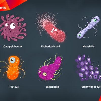 sketch of a group of characters based on bacteria, in cartoon style and vibrant colors, on a blurred background.