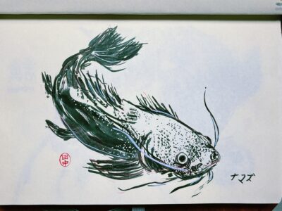 sketch of a catfish, seen from above, made with black ink on white paper, using loose brushstrokes, emulating Japanese painting style. Next to it is the word “namazu” in Japanese (ナマズ).