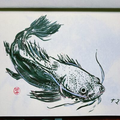 sketch of a catfish, seen from above, made with black ink on white paper, using loose brushstrokes, emulating Japanese painting style. Next to it is the word “namazu” in Japanese (ナマズ).