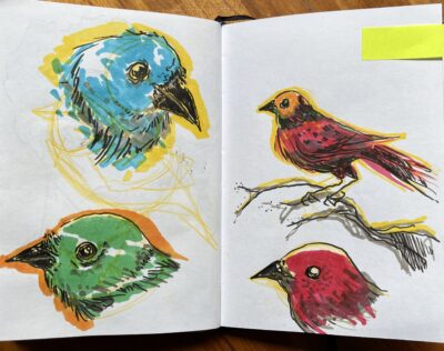 Photo showing two pages of a sketchbook, with various studies of bird heads in different colors, made with markers.