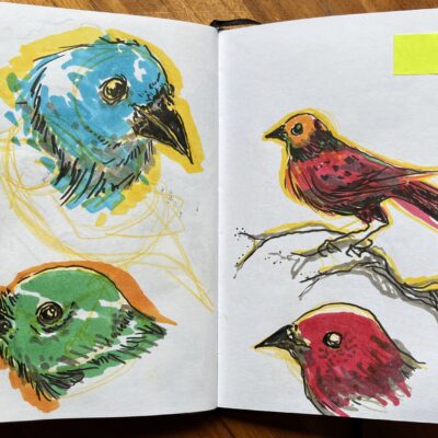 Photo showing two pages of a sketchbook, with various studies of bird heads in different colors, made with markers.