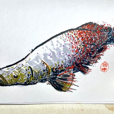 sketch of a pirarucu fish, made with markers in shades of gray, ochre and red, using irregular strokes and ink blots.